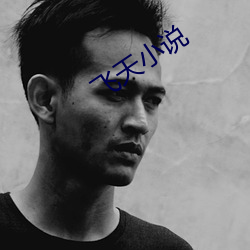飞(fēi)天(tiān)小说