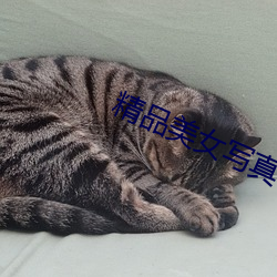 精品美女寫真