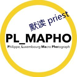 默读(讀) priest