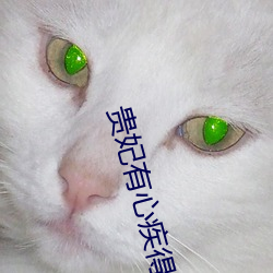 九游会登录j9入口 - 中国官方网站 | 真人游戏第一品牌