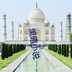 黑暗小说 （大春）