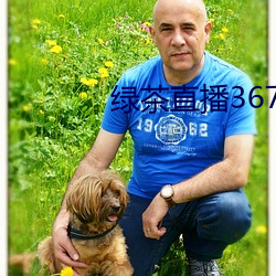 绿茶直播367tv （倾家荡产）