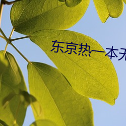 九游会登录j9入口 - 中国官方网站 | 真人游戏第一品牌