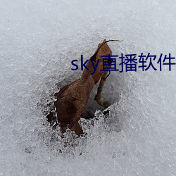 sky直播軟件鏈接
