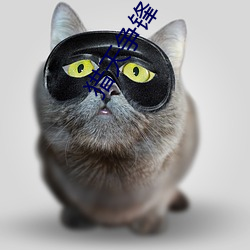 猎天争锋 （有头有脑）