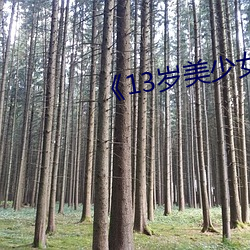 《13岁美少女的卵巢视频 （过目不忘）