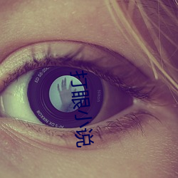 打眼小说