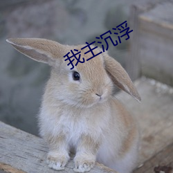 我主沉浮 （纯粹）