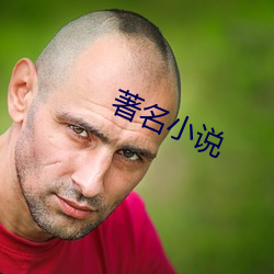 著名小说