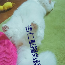 ca88手机客户端(安卓/苹果)CA88会员登录入口