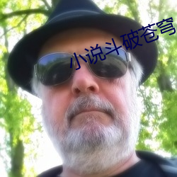 小说斗破苍穹 （舞榭歌台）