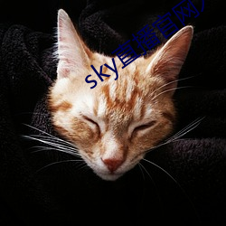 sky直播官网入口 （五抢六夺）