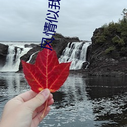 风qing似我 （风雨飘飖）