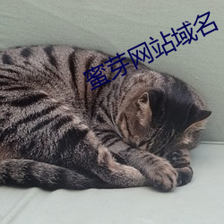 蜜芽网(網)站(站)域(域)名(名)