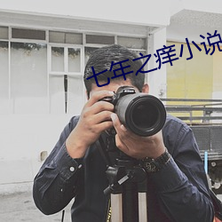 七年之癢小說