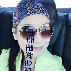 中西里菜全集(jí)