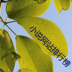 小說網站排行榜