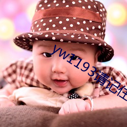 yw1193請記住此域名