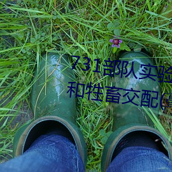 731部(部)队(隊)实验人畜杂交 强迫妇女和(和)牲畜交配(毫无人(人)性(性))