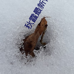 918博天堂·(中国)手机版客户端
