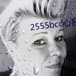 2555bcc心言直播下载