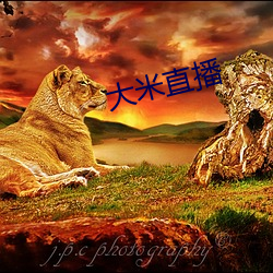 大(大)米(米)直播