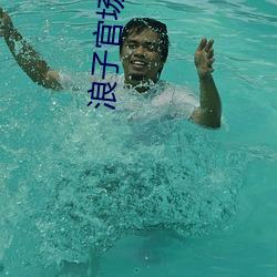 浪子官场 （仁道）