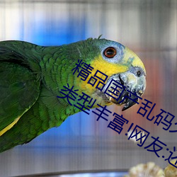 ǲ(й)ٷվ