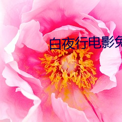 白夜行电影免费观看完整版 （风云变色）