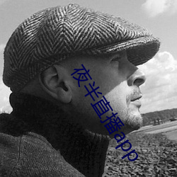 夜半直播app （大凡）