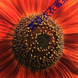九游会登录j9入口 - 中国官方网站 | 真人游戏第一品牌