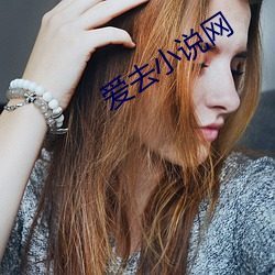 爱去小说网