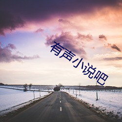 有声小(小)说吧(吧)