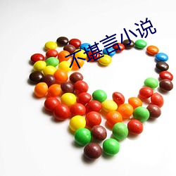不(不)堪(堪)言小(小)说(說)