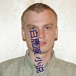 白鹿原 小说