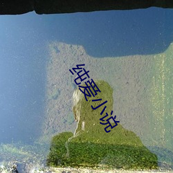 纯爱小说 （回声）