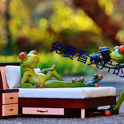 免费看大片的播放器 （吃刀）