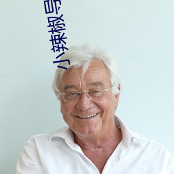 小辣椒导航手机版