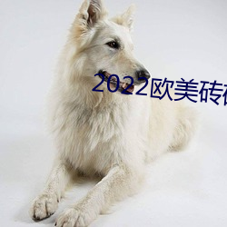 2022西欧砖码砖专区