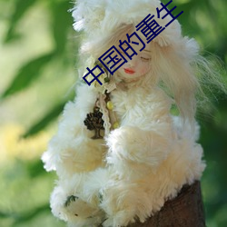 中国的重生