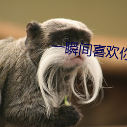 一瞬间喜欢你