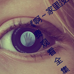 《啊～家里没人叫大点声宝宝》电视剧免费观看全集