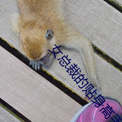 女总裁的(de)贴身(shēn)高手(shǒu)