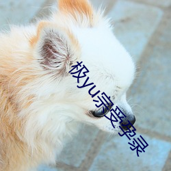 极yu宗受(shòu)孕(yùn)录