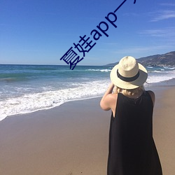 夏娃app一分三块5.3