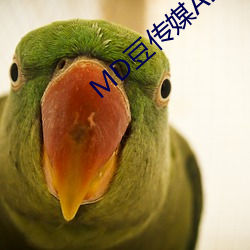 MD豆(豆)传媒APP网址入口免(免)费(費)