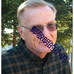 郭敬明的小說