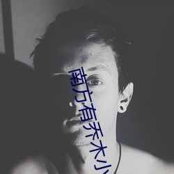南方有乔木小说