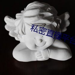 私密直播平台