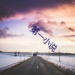 第(dì)一小(xiǎo)说(shuō)